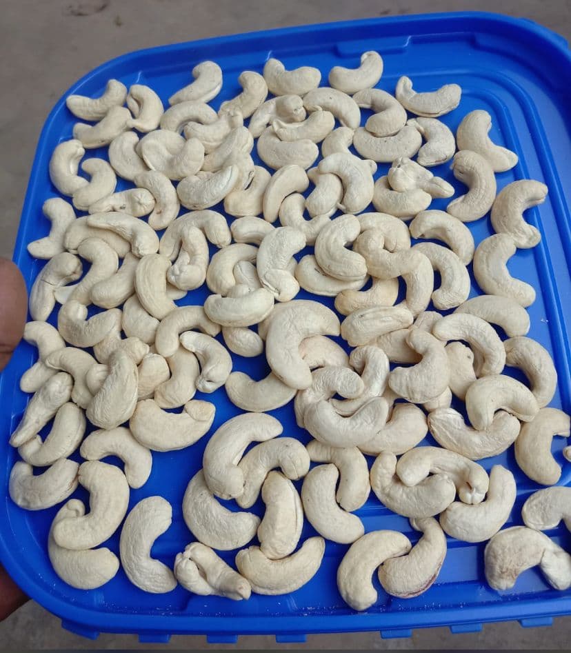 Cashew Nuts
