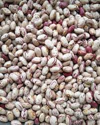 Sugar Beans