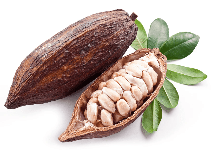 Cocoa Beans